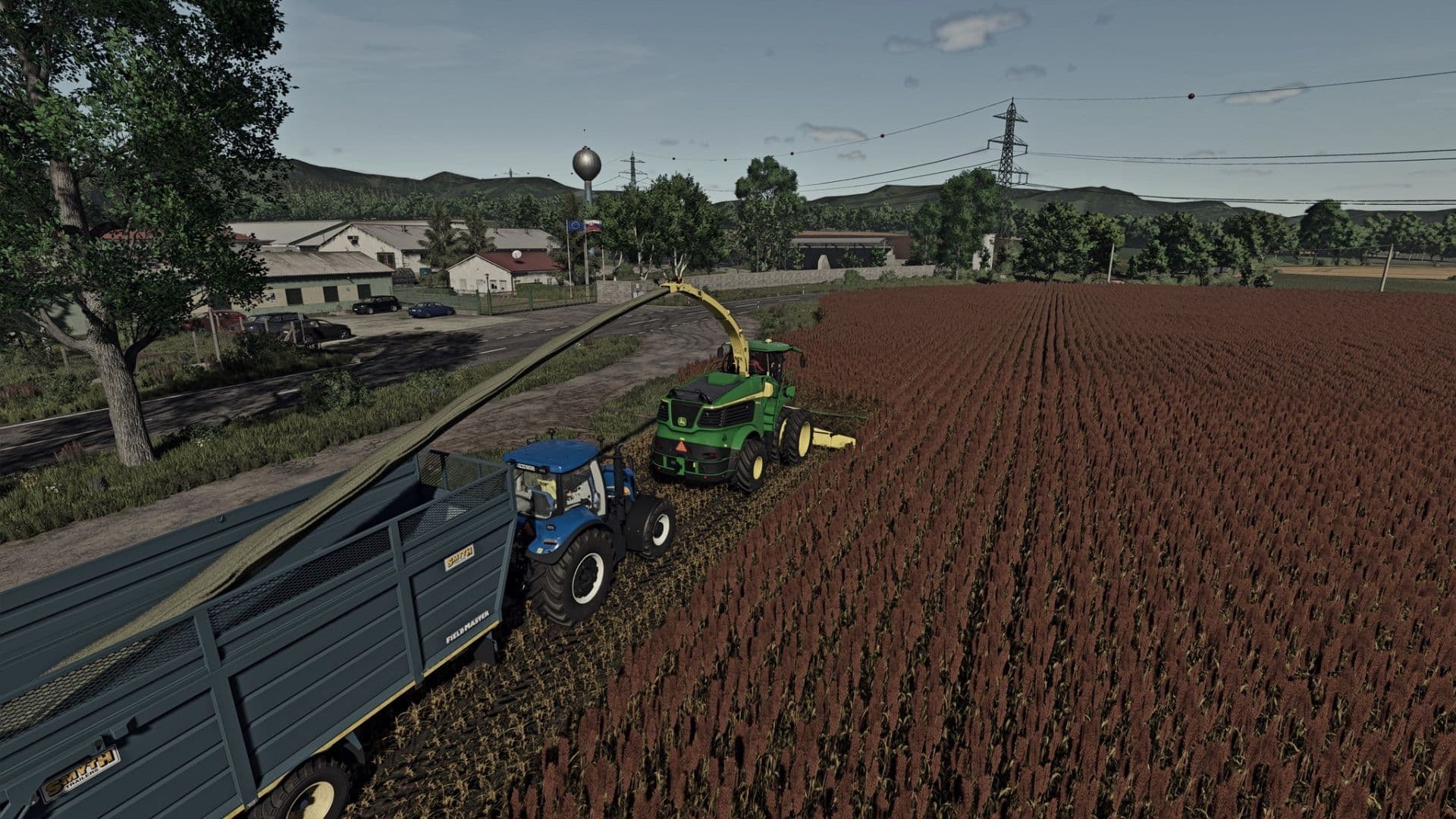 Silage Sorghum 4