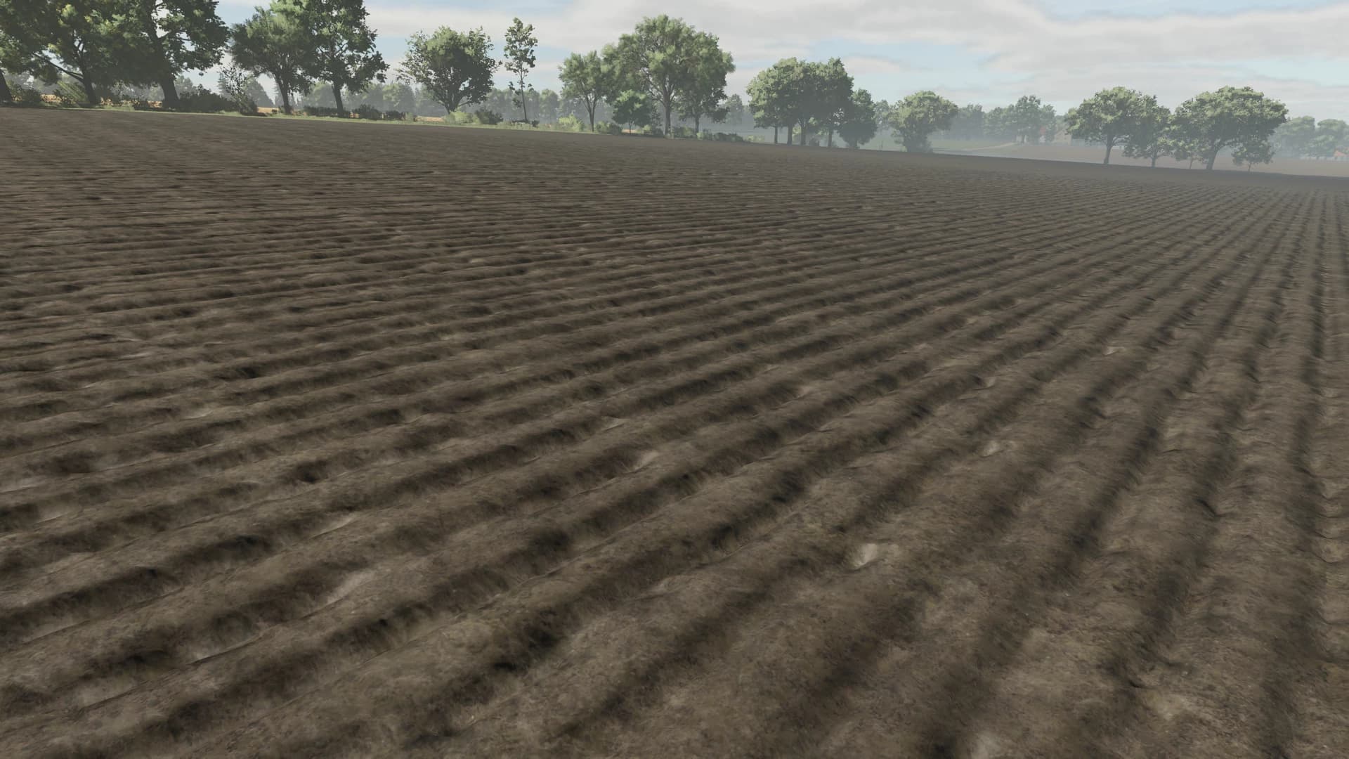 Soil textures 3