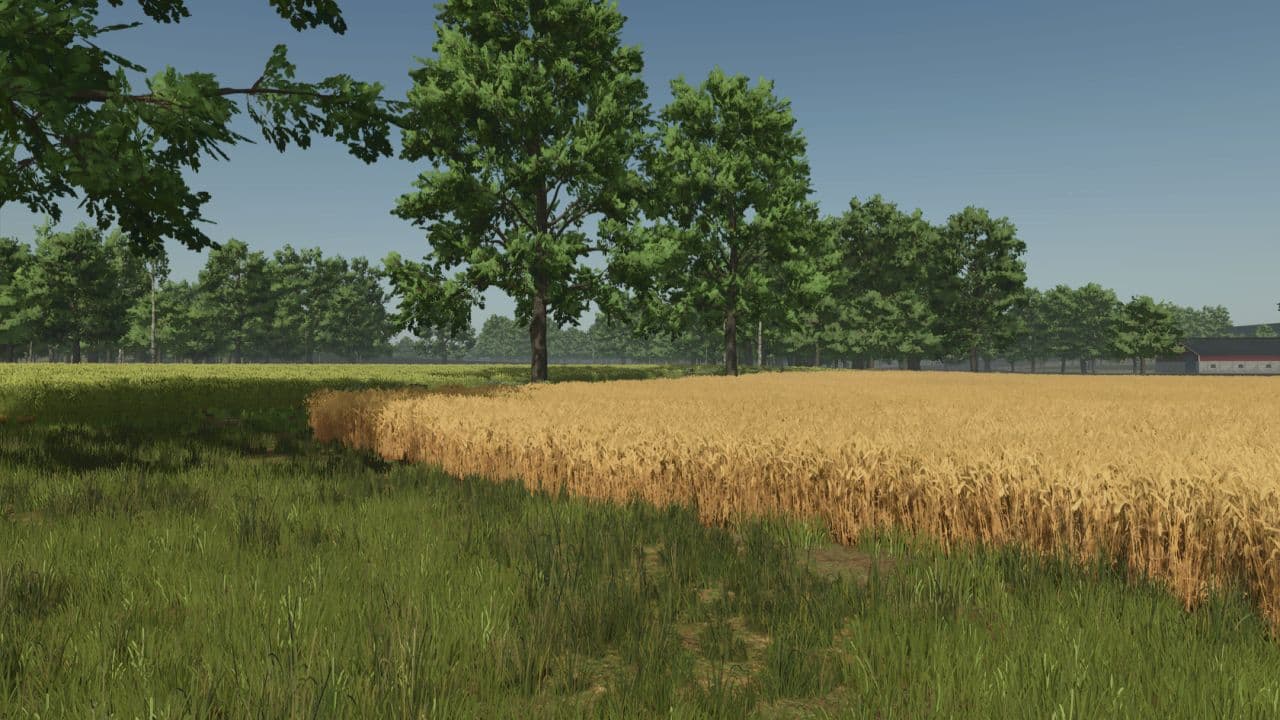 Staby Agri 6
