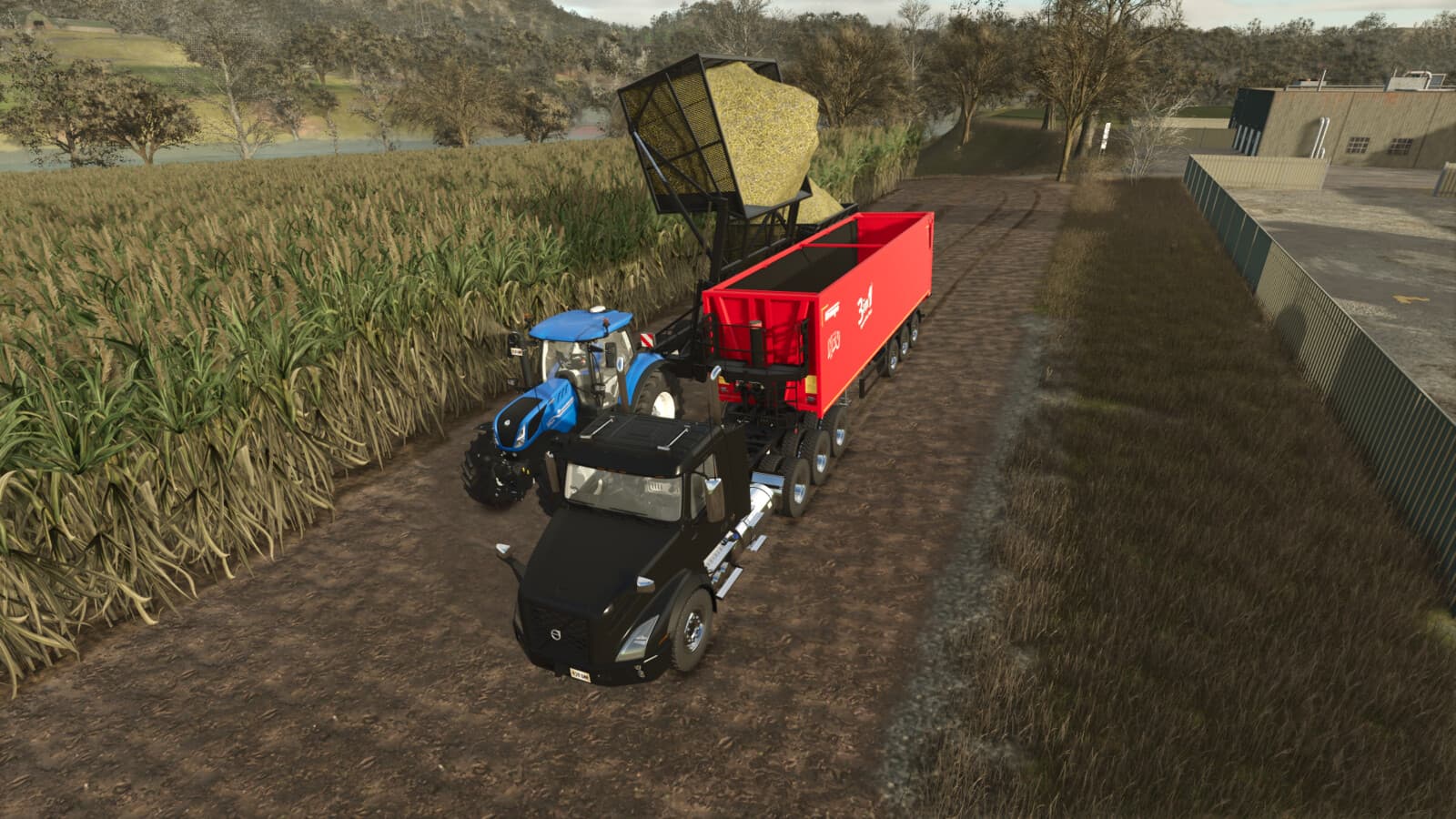 SugarCane Transshipment 2