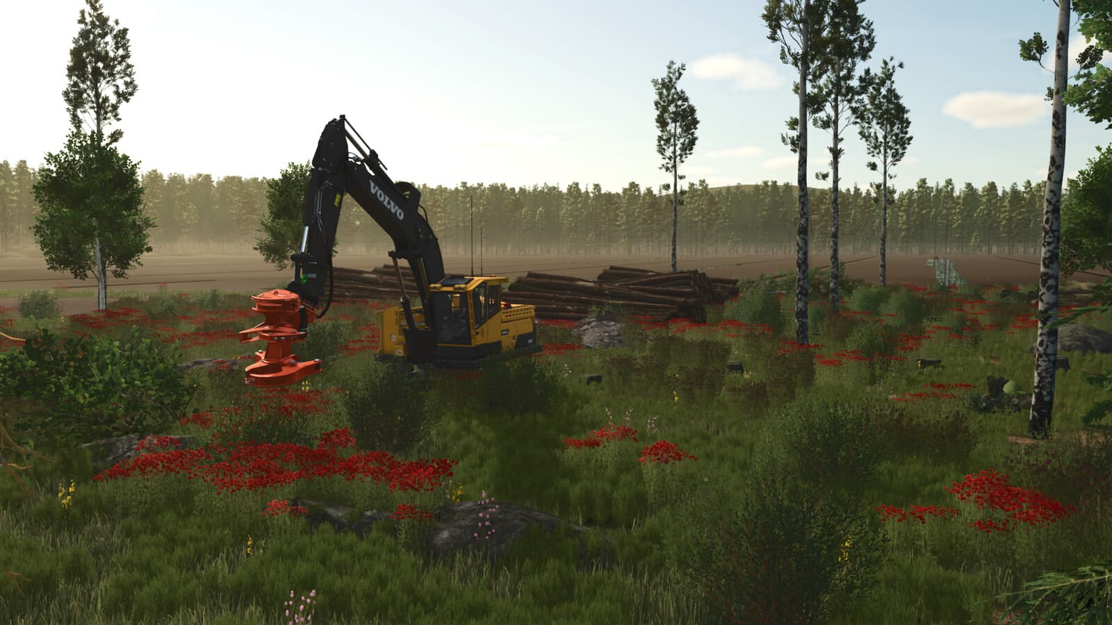 Sunshine Forest 4