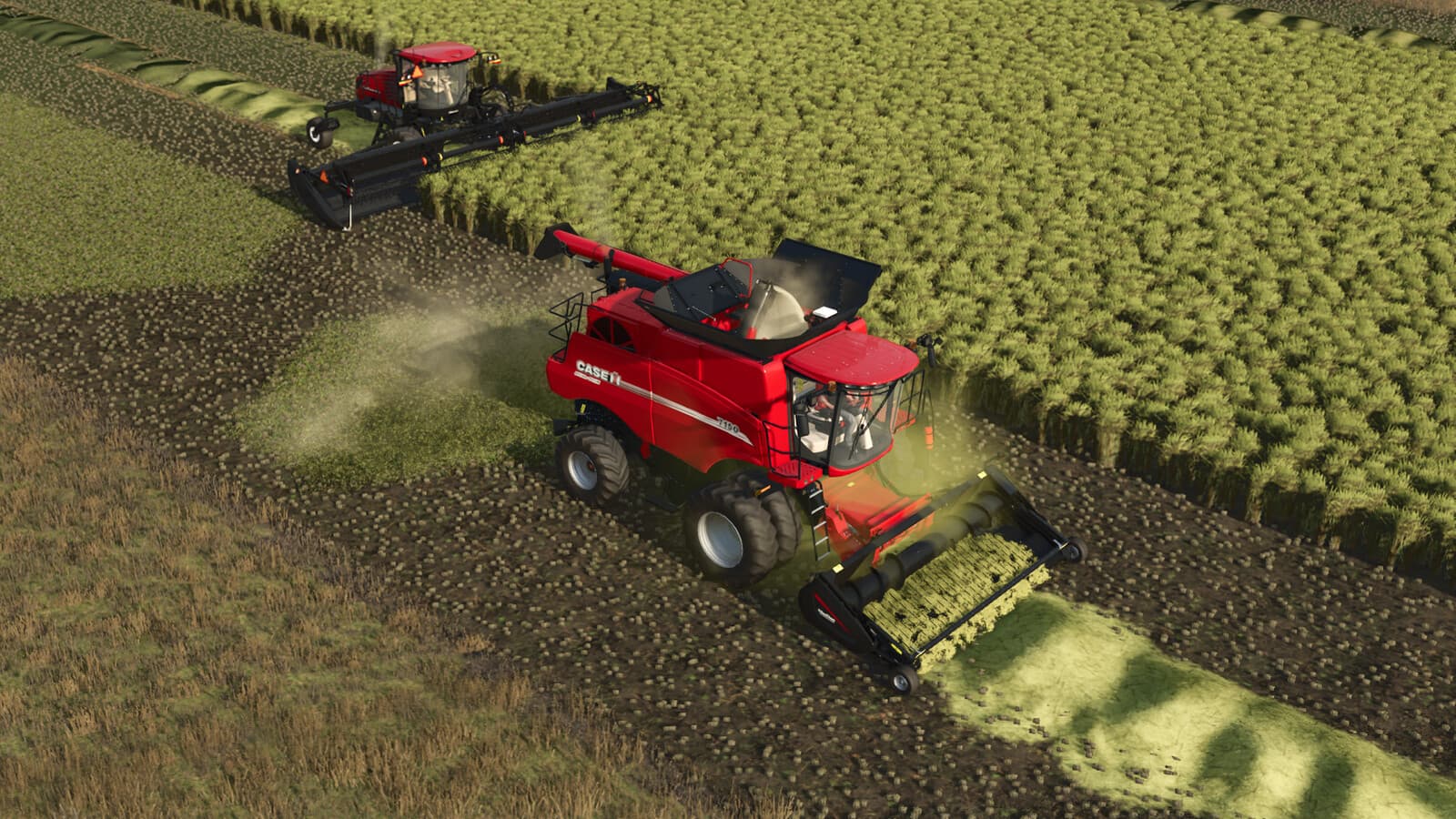 Swathing Plus 5