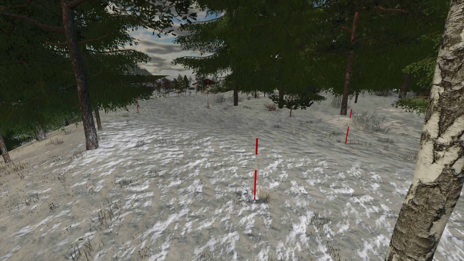 Swedish Snow Pole 2