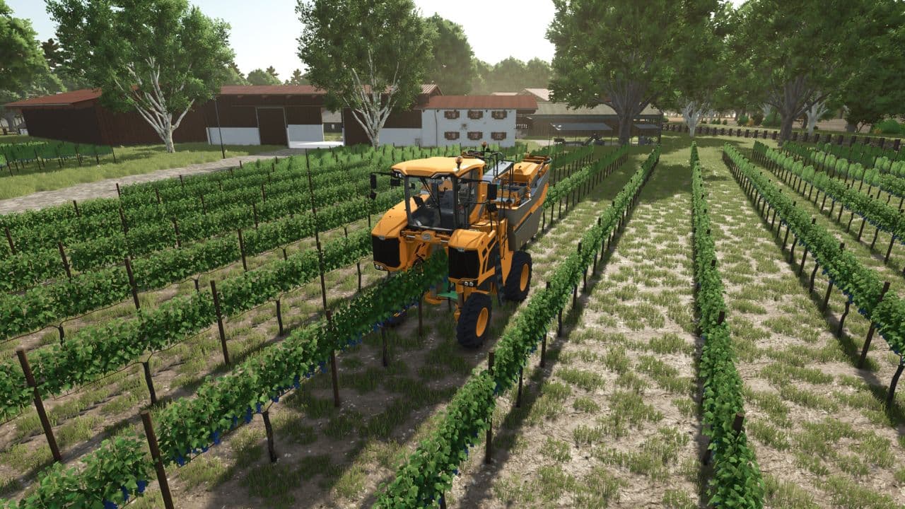Tools for grapes and olives