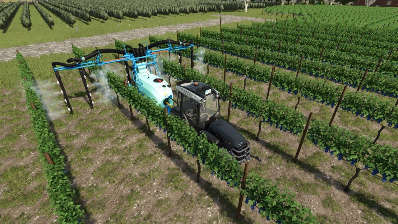 Tools for grapes and olives 4