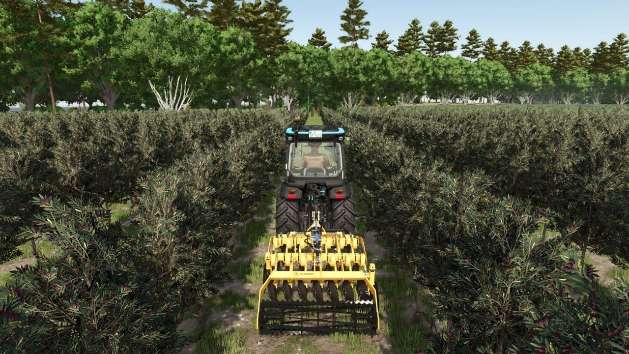 Tools for grapes and olives 3
