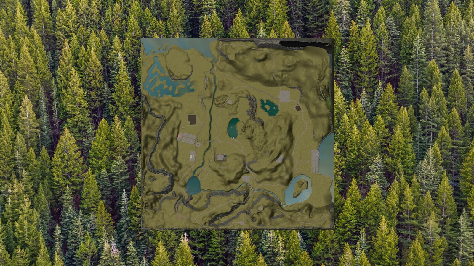 Umbreon Valley 6