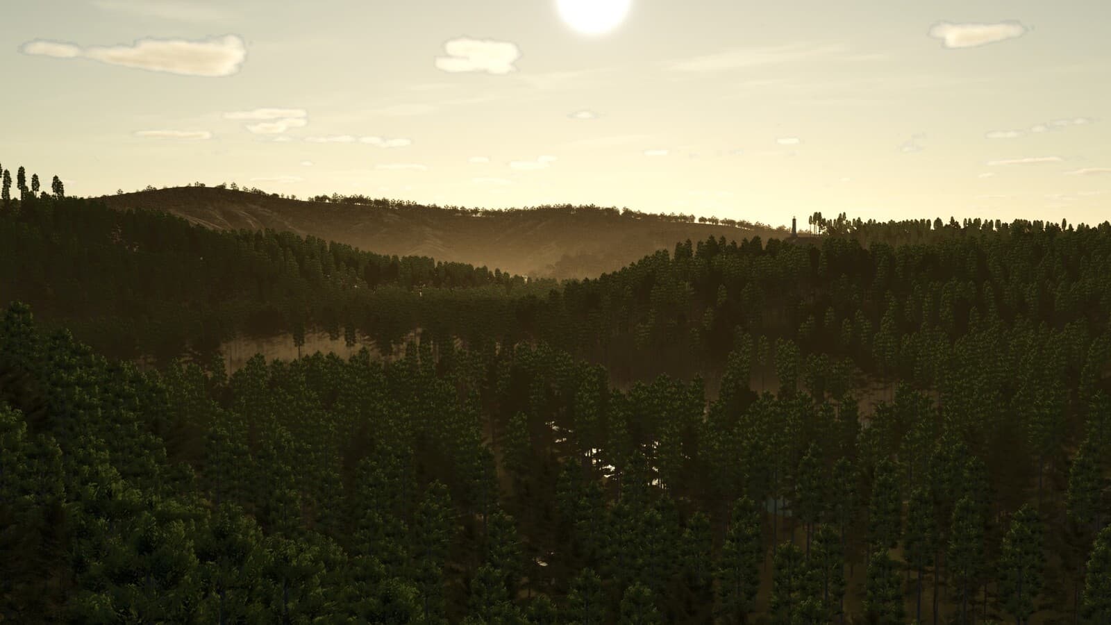 Umbreon Valley 3