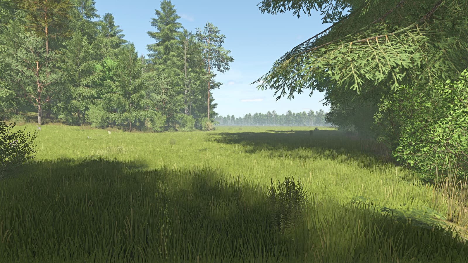 Vast Country 4