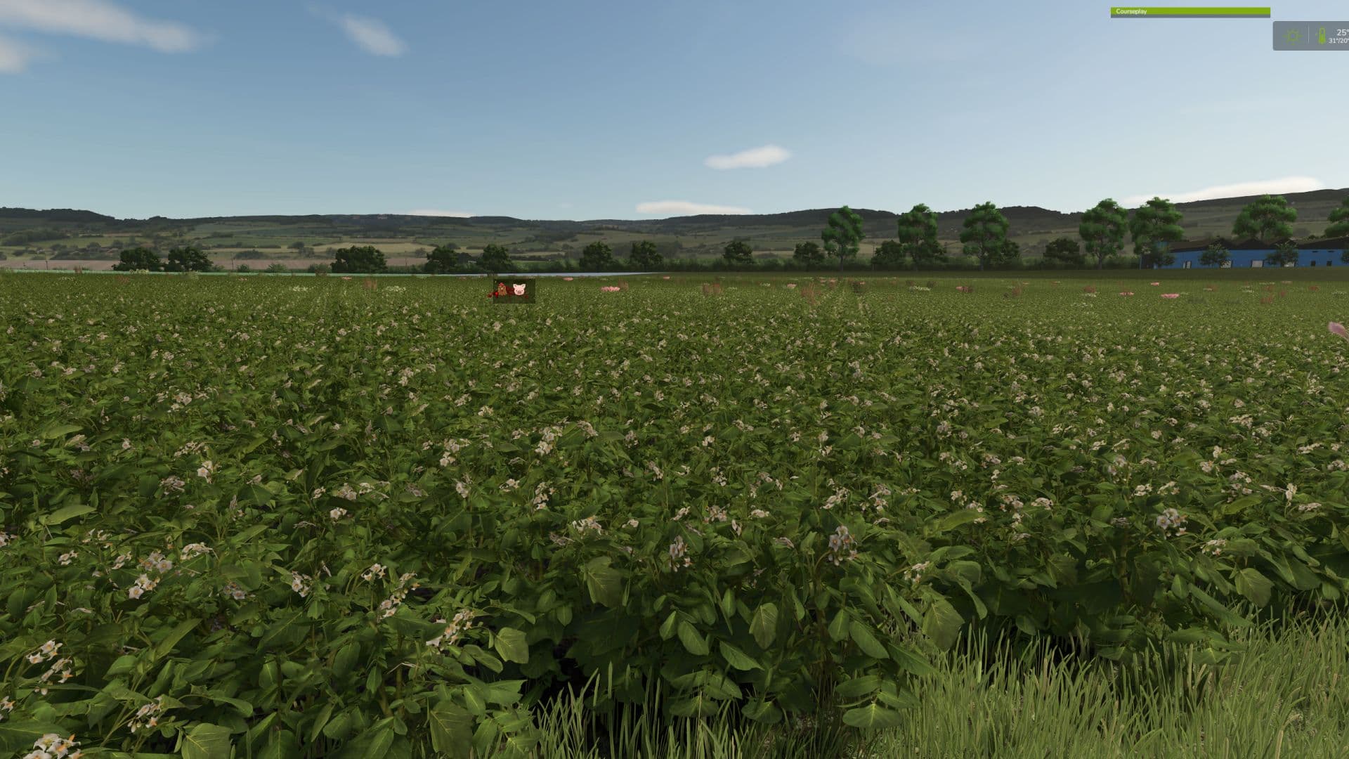 Vintage Farm V2.0 Multifruit 5
