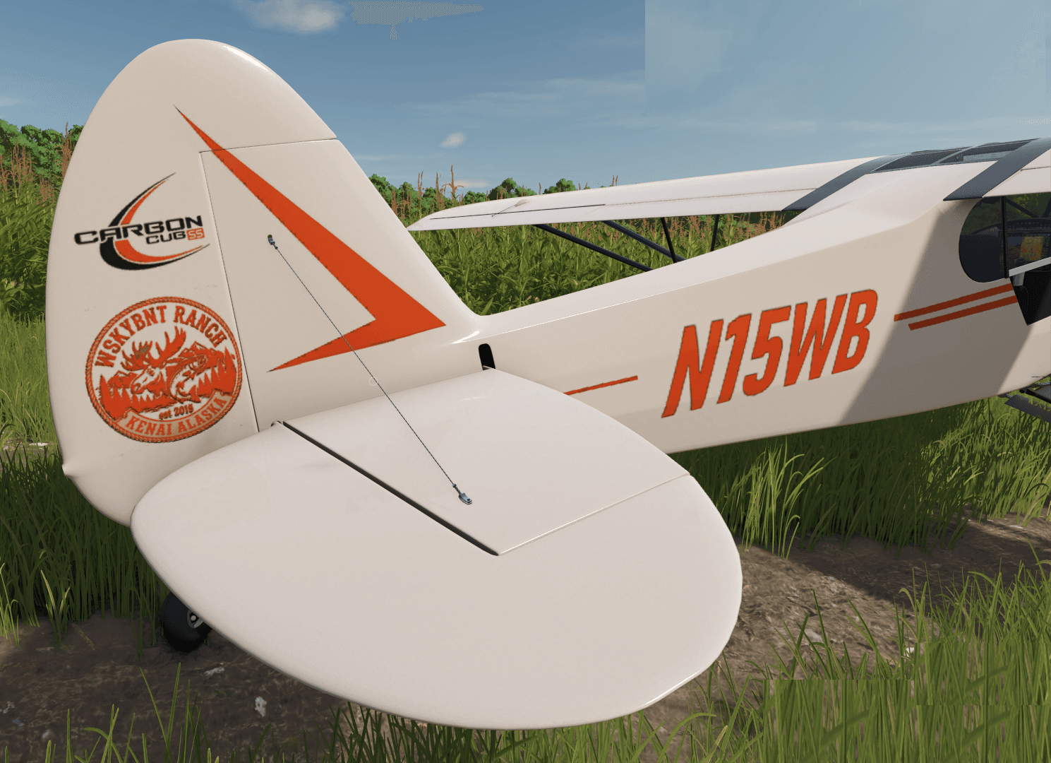 WSKYBNT CARBON CUB 2