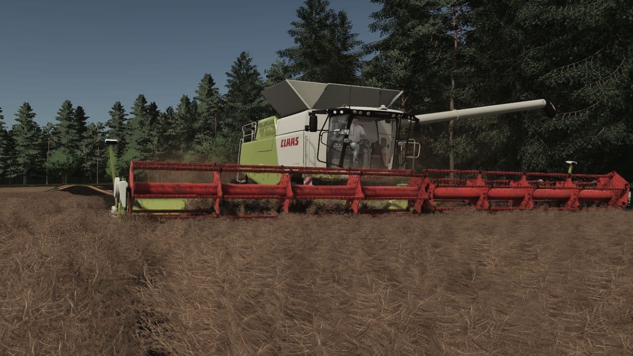 Westerrade 2k26 4