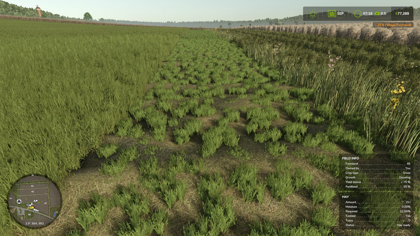 Advanced Hay Drying 2