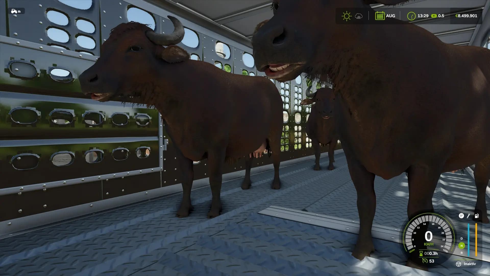 Animal Transporter 4