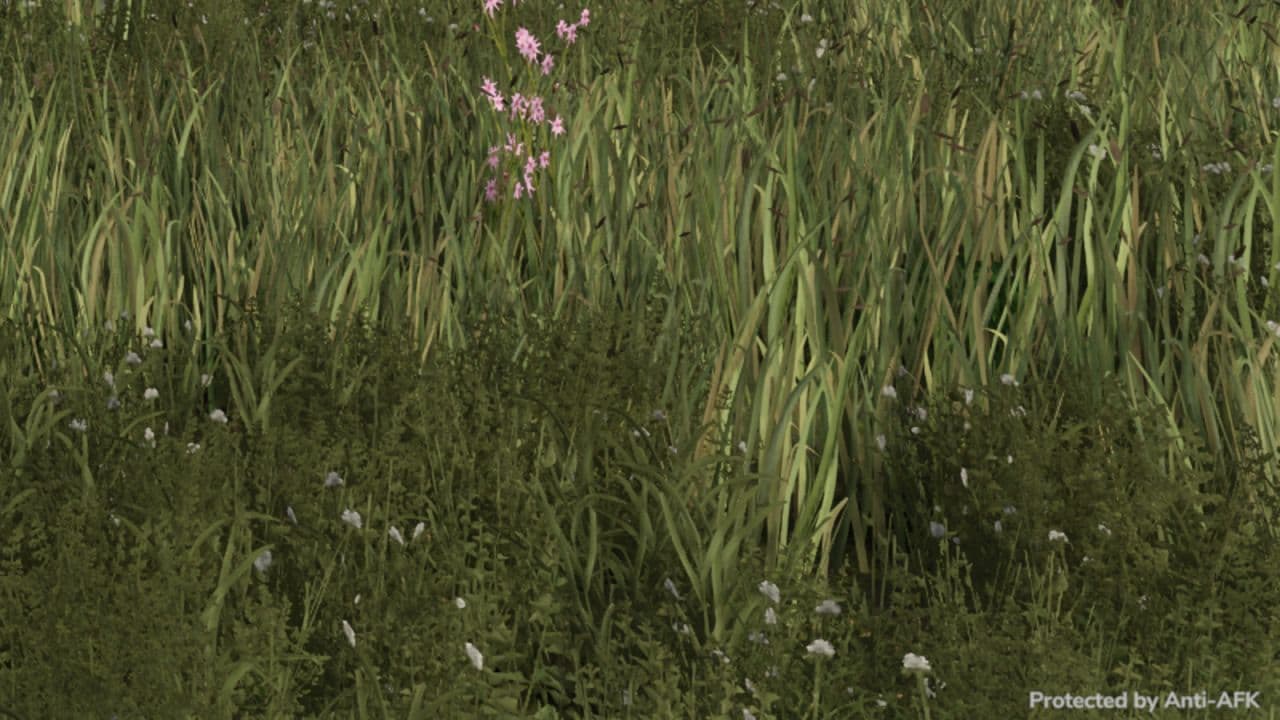 Anti-AFK 4