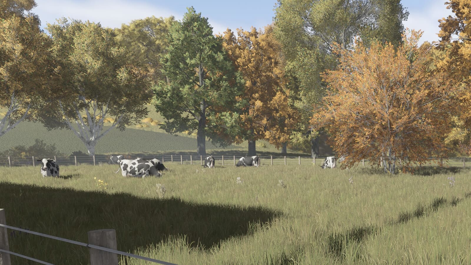 Automatic Milk Distribution 2