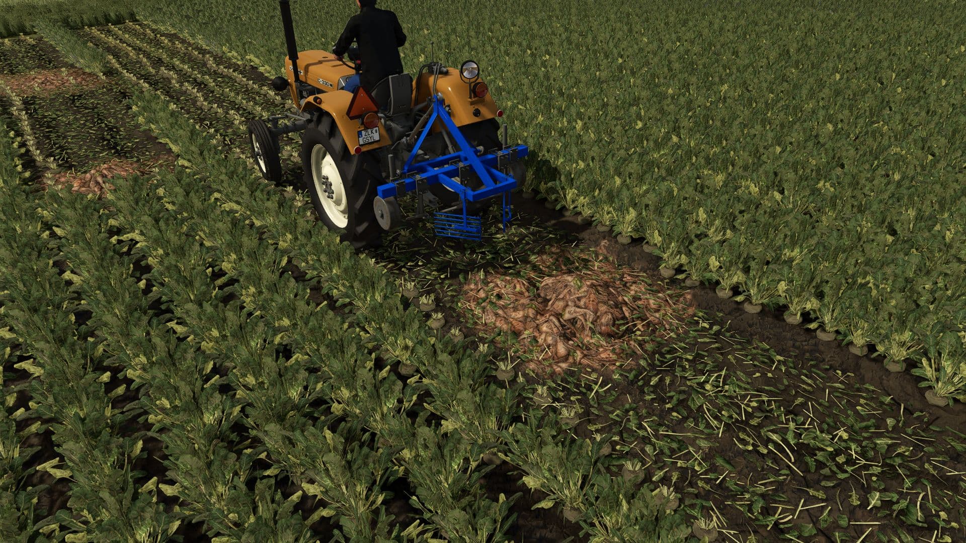 Beet Machines 3