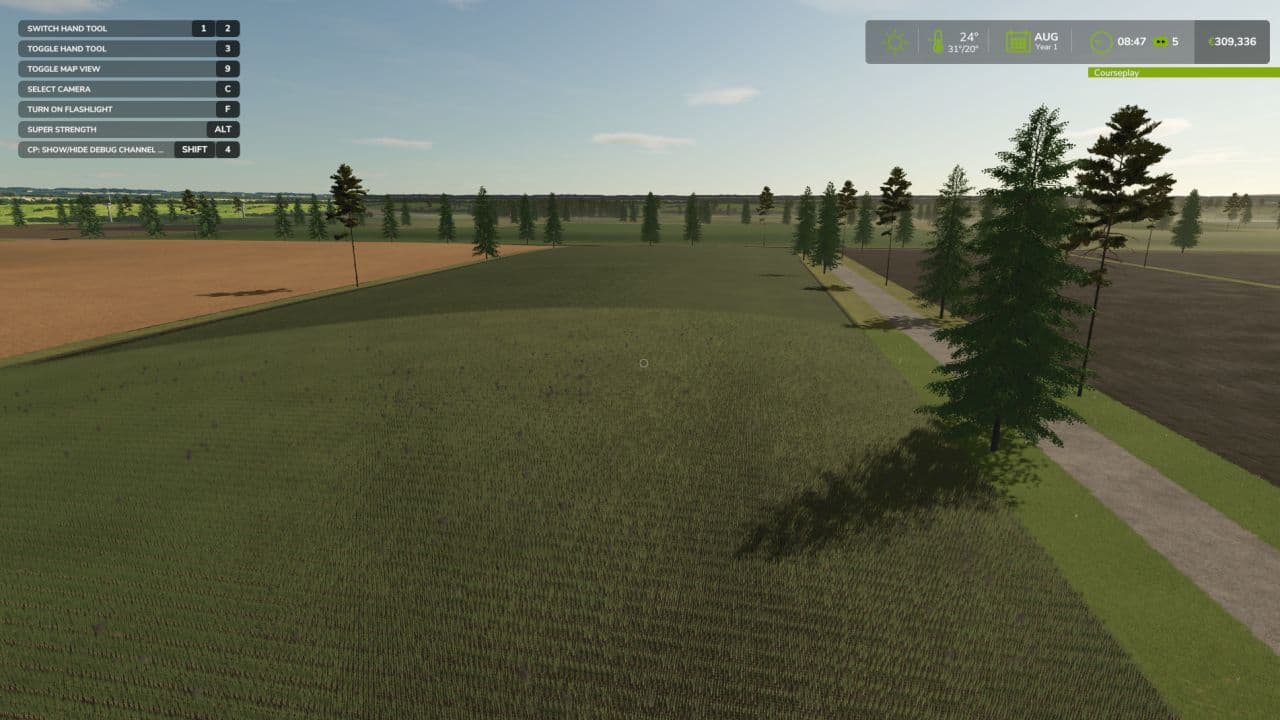 Birch Run 4