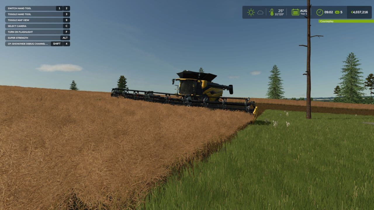 Birch Run 3