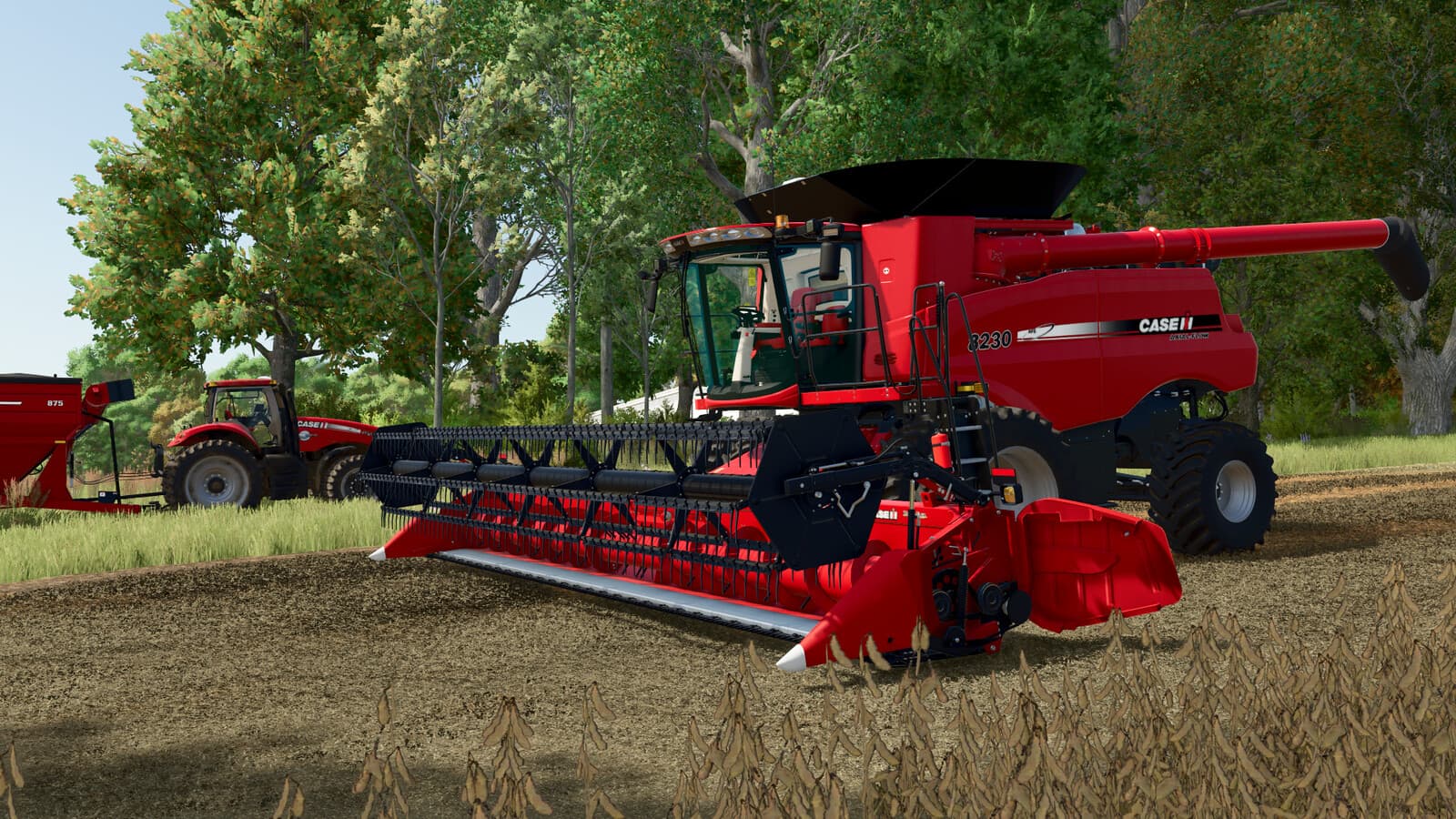 Case IH 3020 Terraflex Headers 5