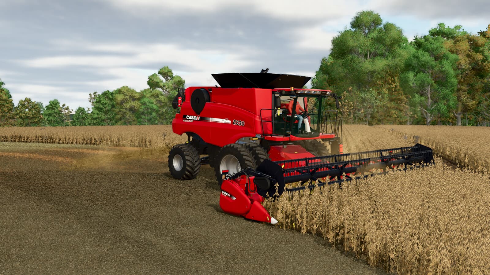 Case IH 3020 Terraflex Headers 3