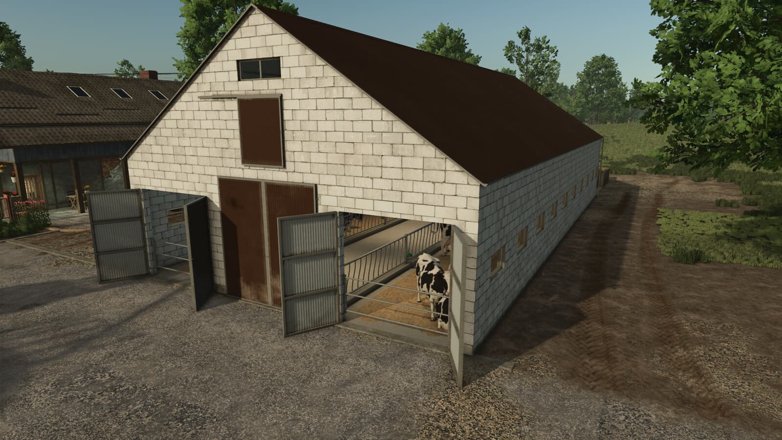 Cow Barn With Manure Plate 4