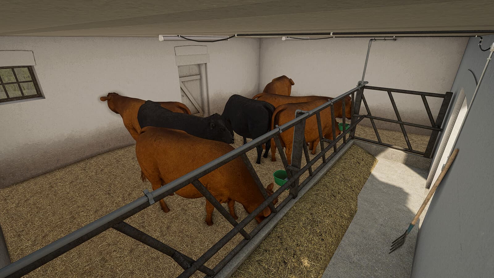 Cow Barn 4