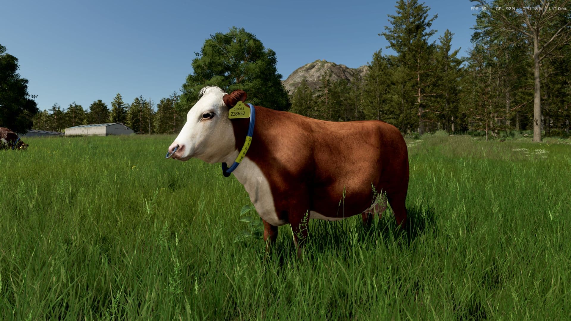 Cow Breeds (RLRM)