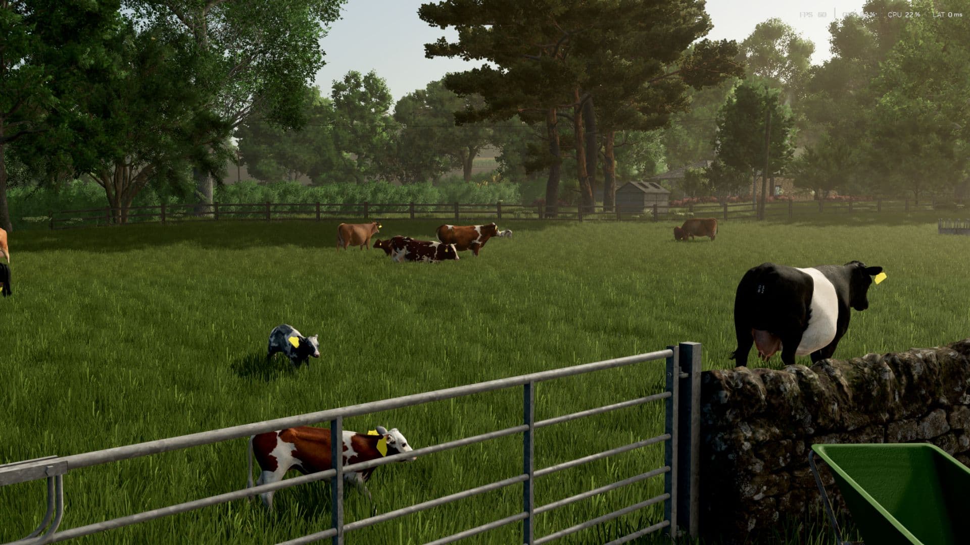 Cow Breeds (RLRM) 4