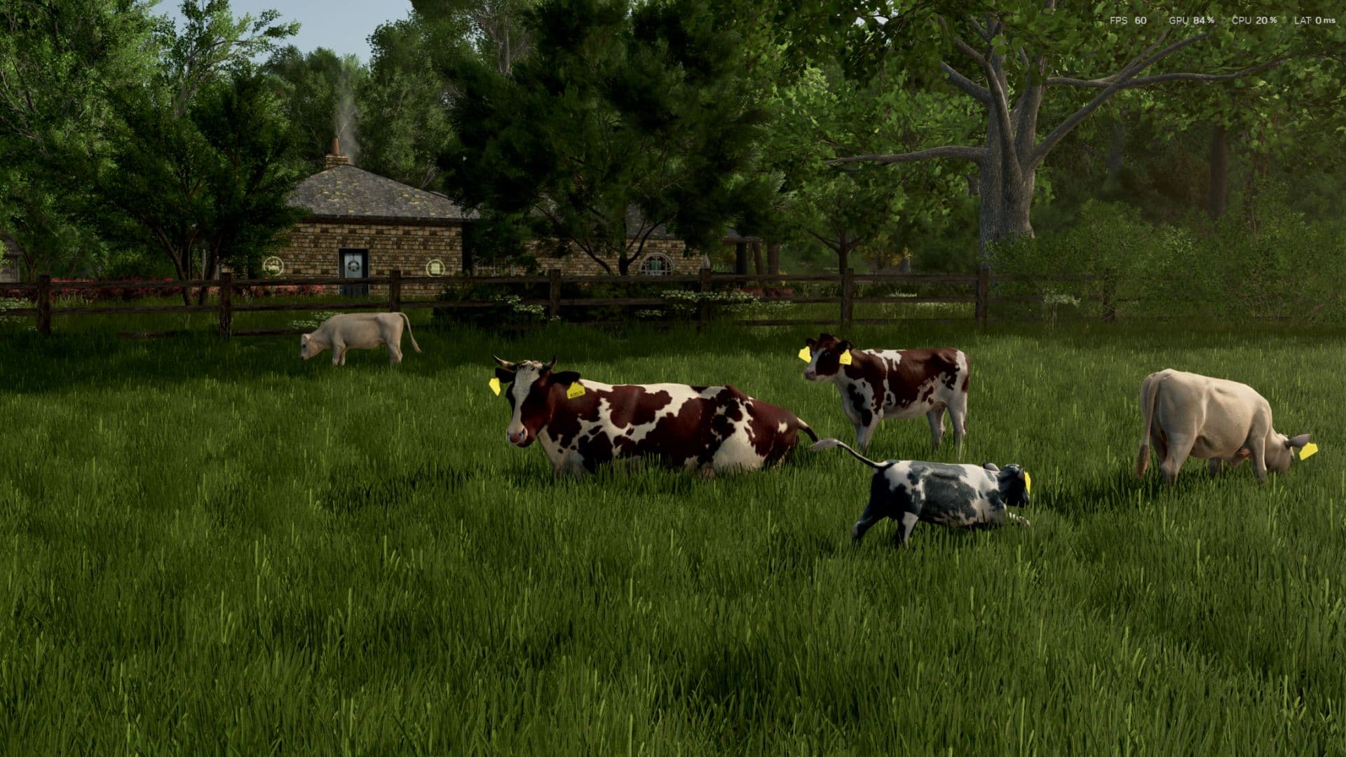 Cow Breeds (RLRM) 3