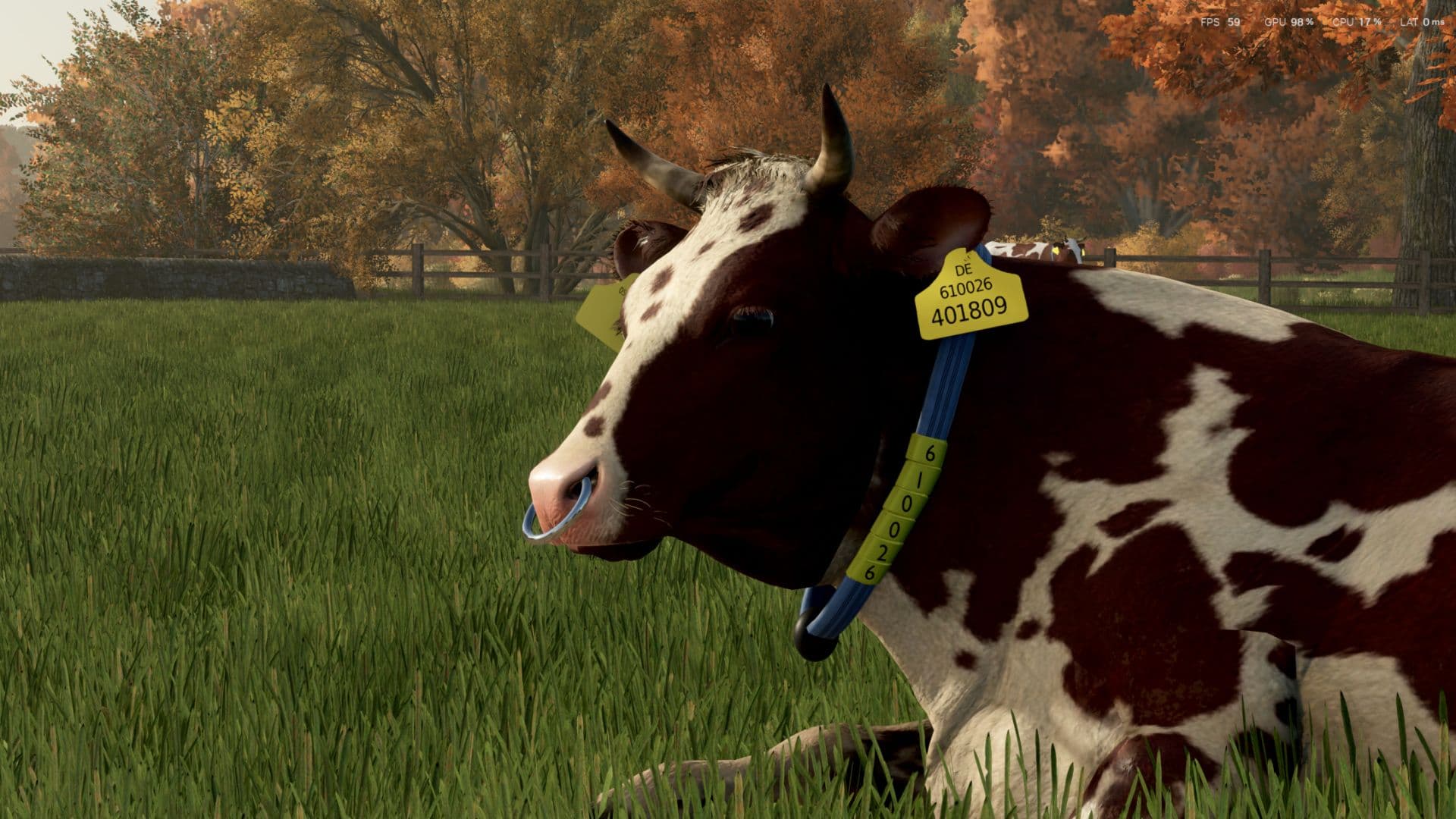 Cow Breeds (RLRM) 2