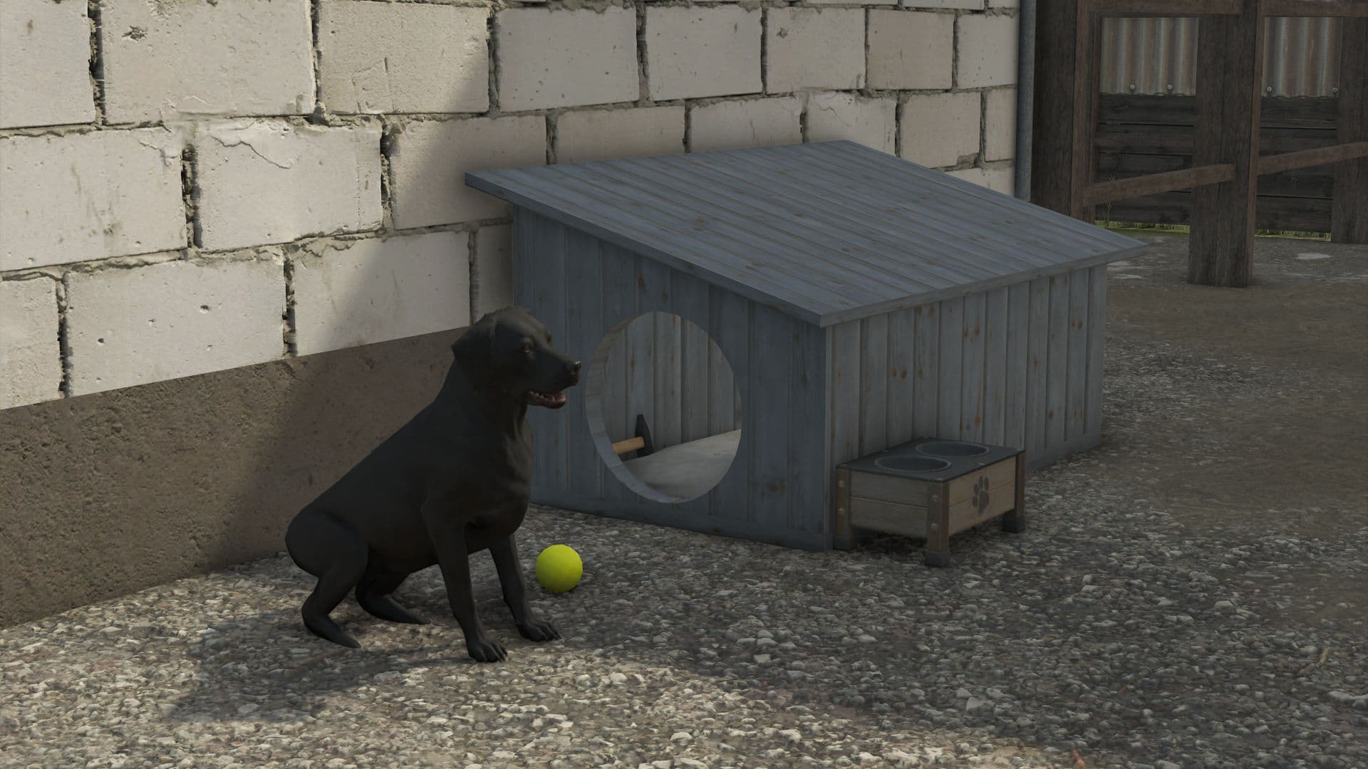 Dog house