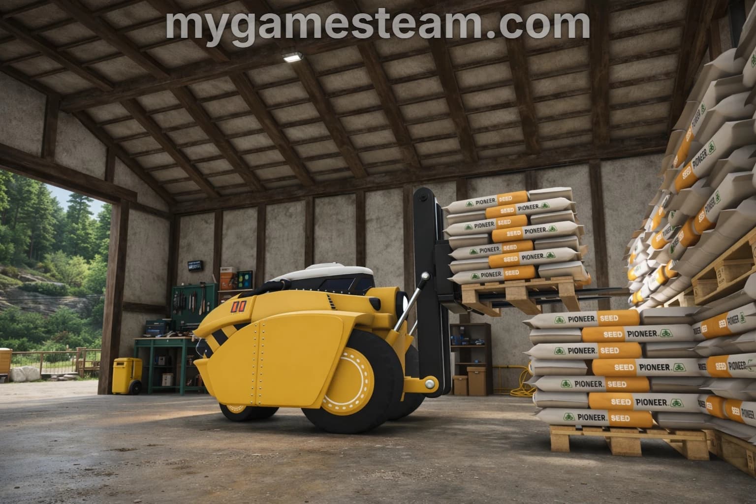 Electric Forklift 5
