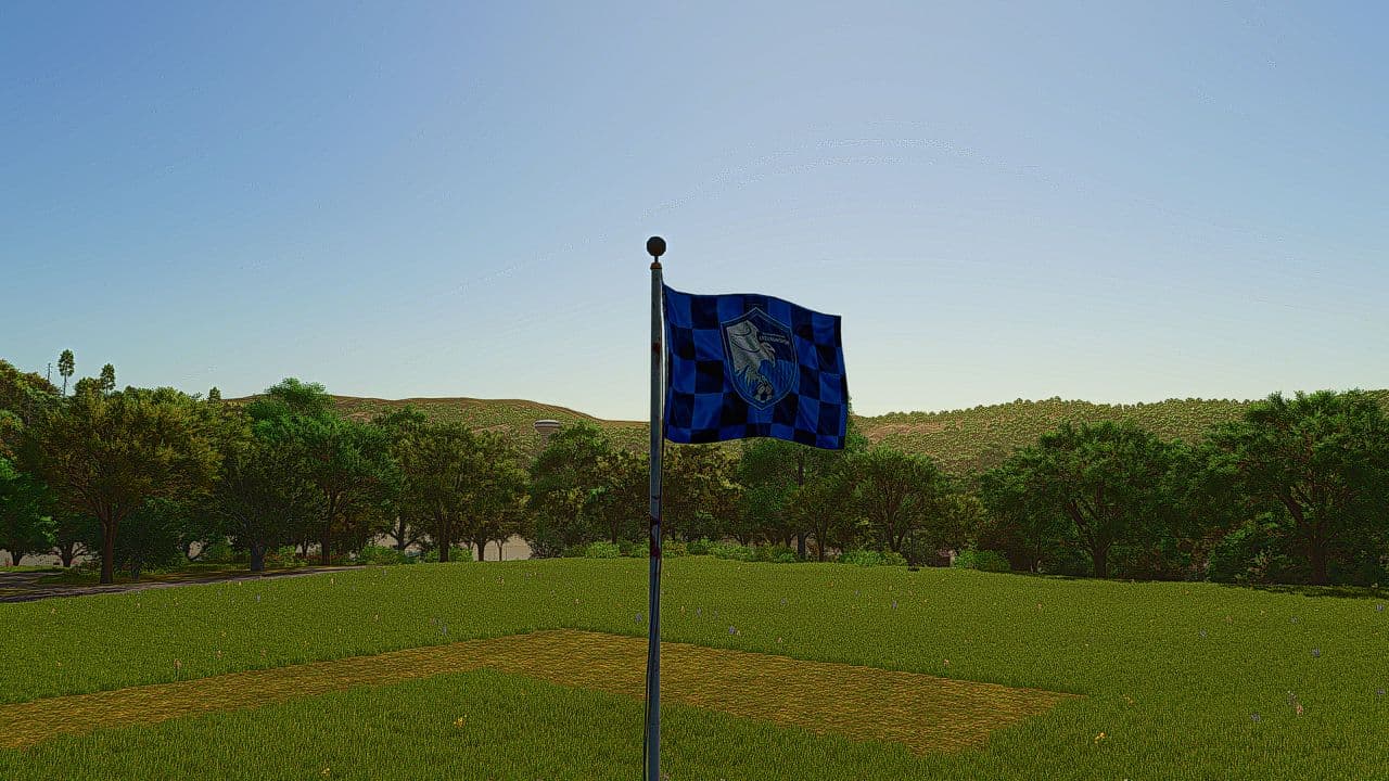 Erzurum Sports Flag 2