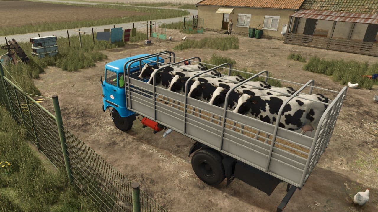IFA W50 Animal Transport 2