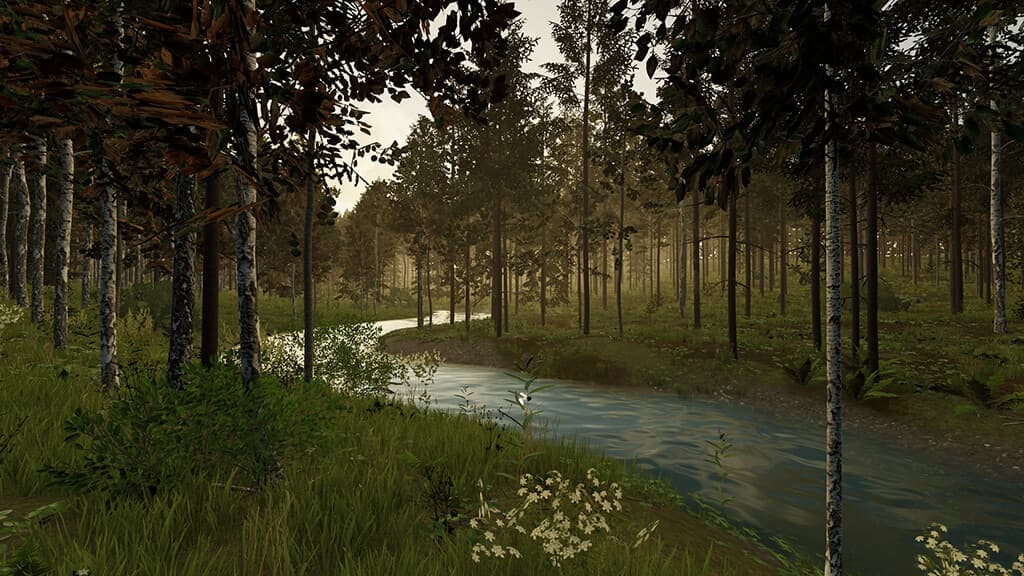 Karhuvaara 4