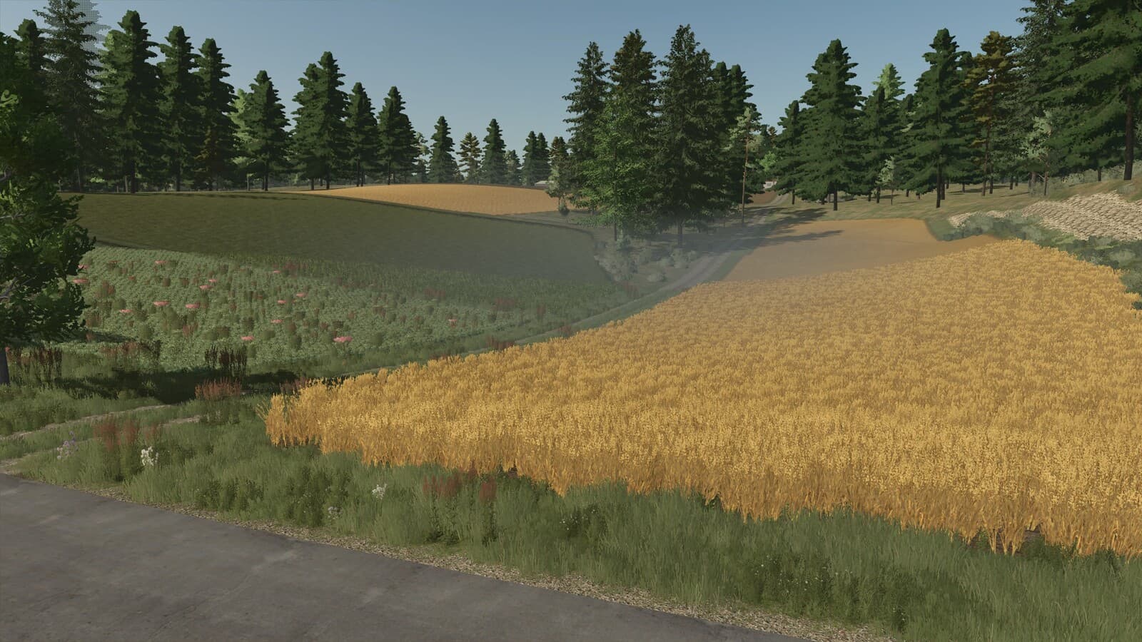Kolonia 2026 4