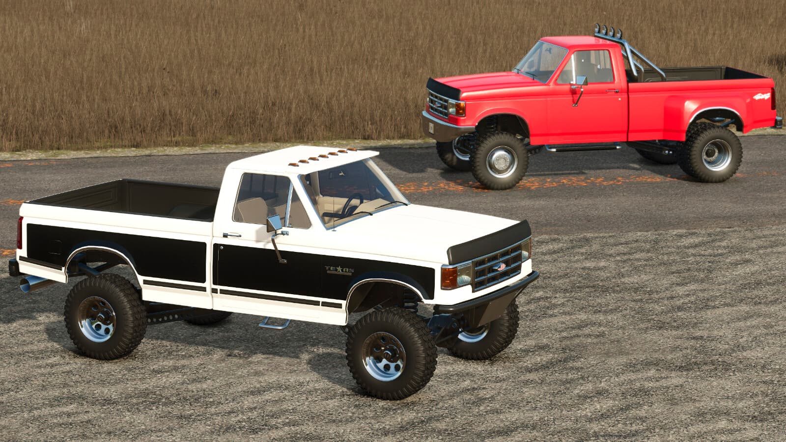 Lizard F-150 4