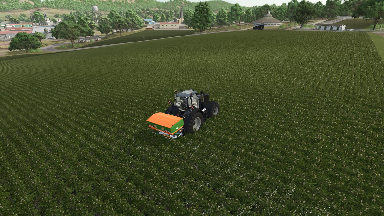 Lizard Granular Herbicide 4