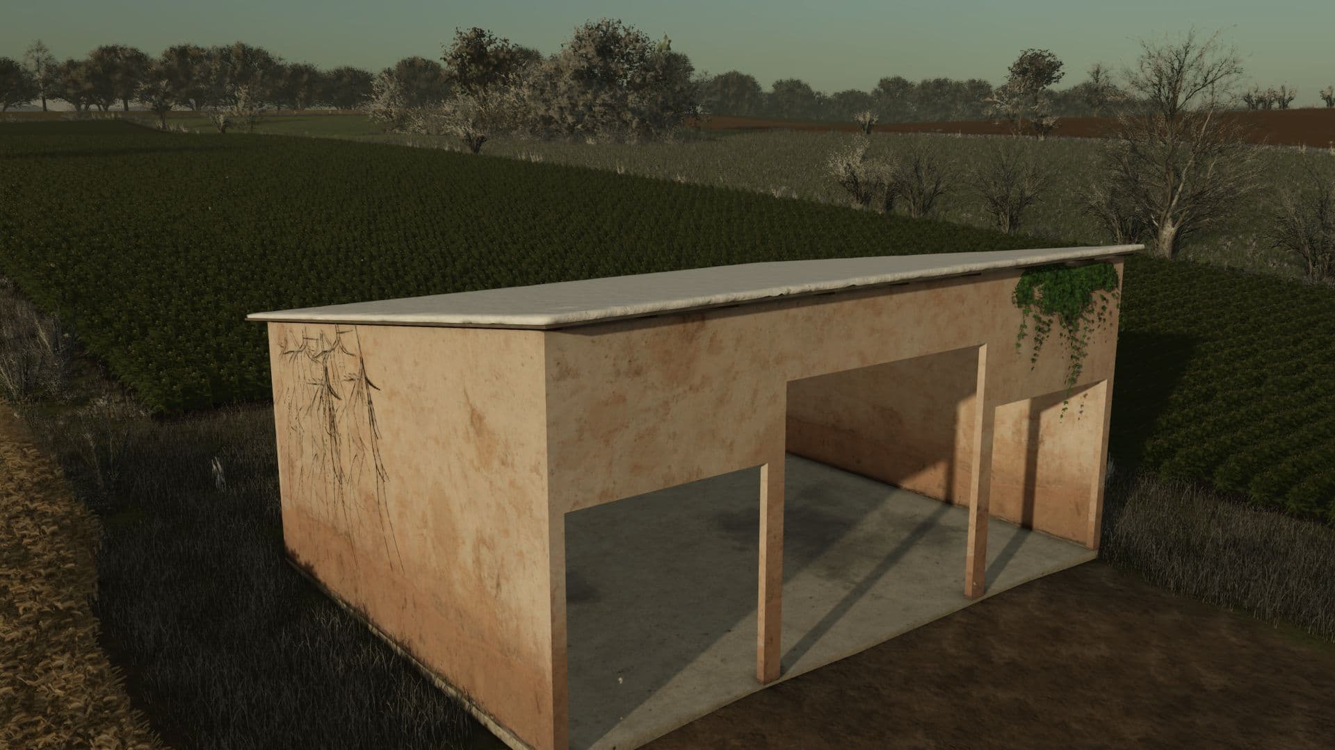Old Small Shed 3