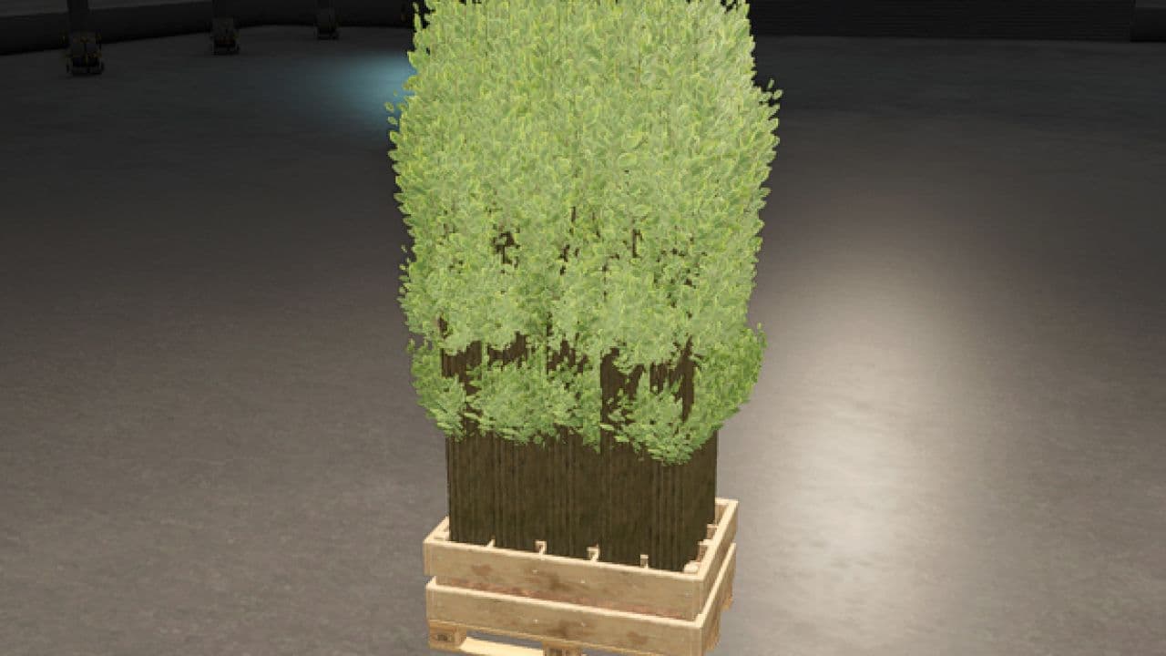 Pallet With Tree Seedlings 6