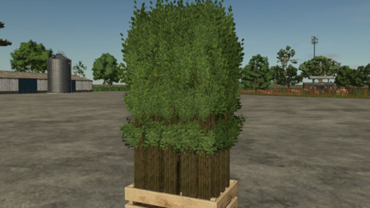 Pallet With Tree Seedlings 3