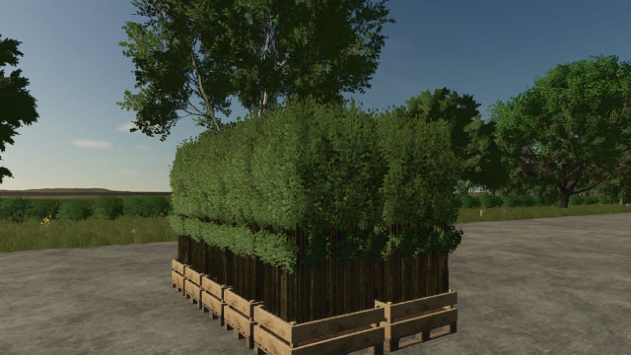 Pallet With Tree Seedlings 2