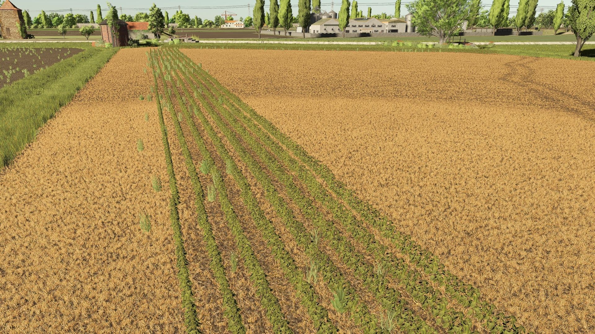 Polesine RCS 4