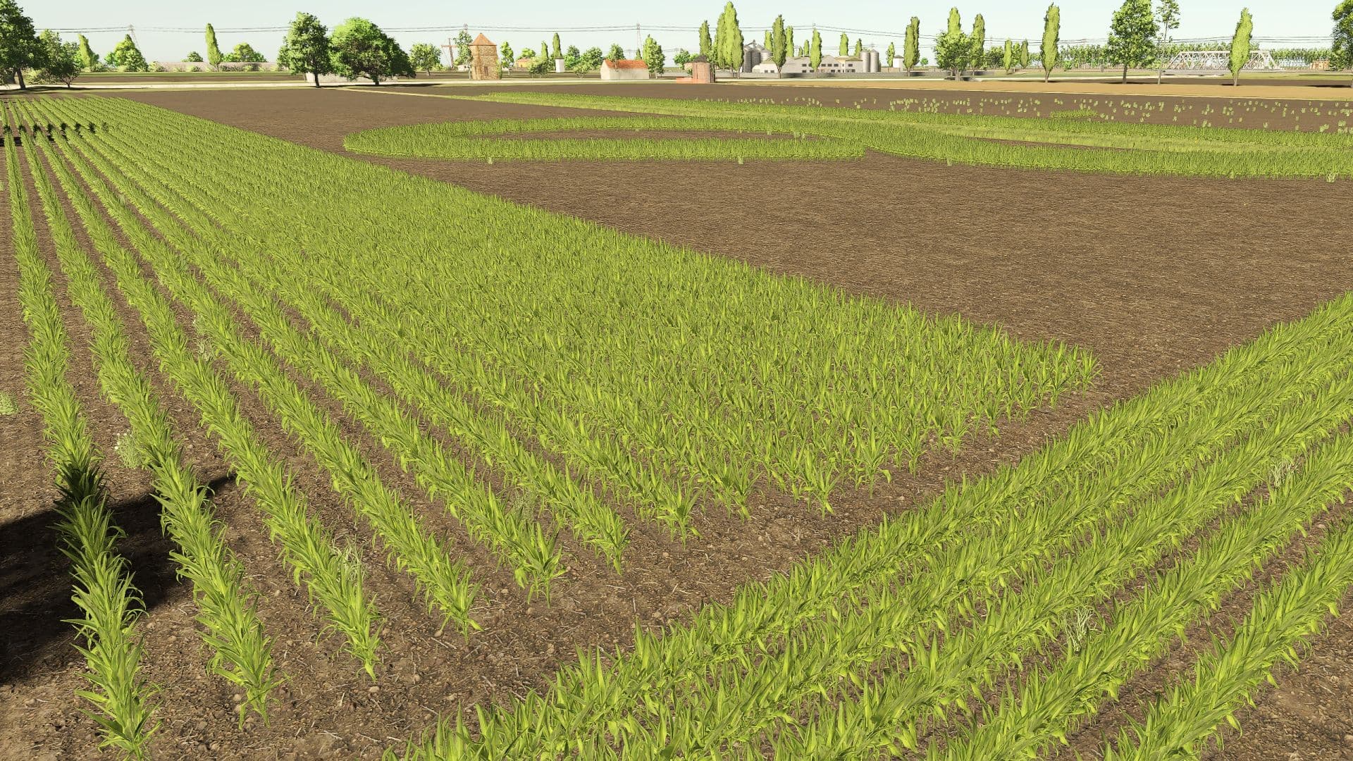 Polesine RCS 3