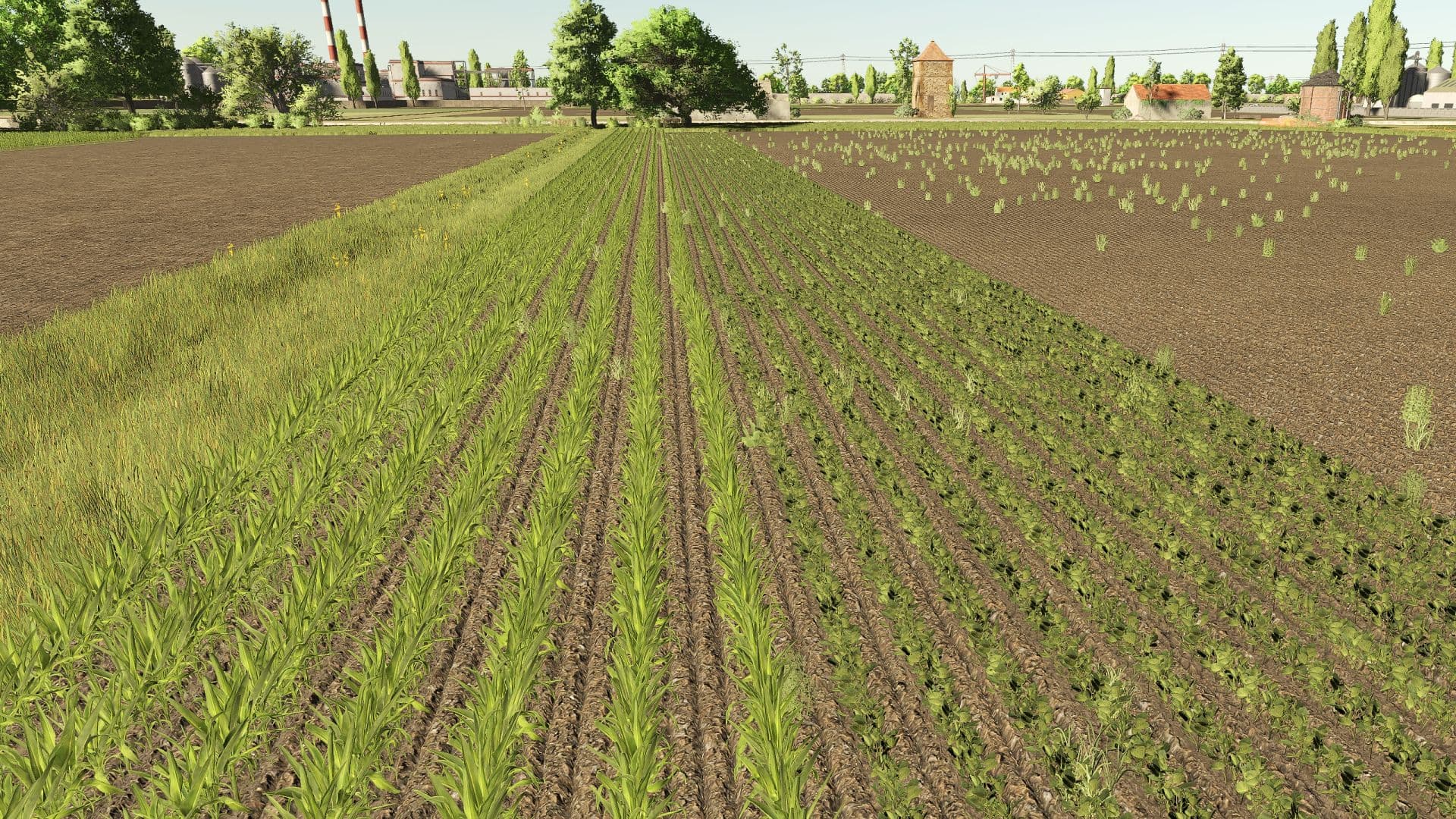 Polesine RCS 2