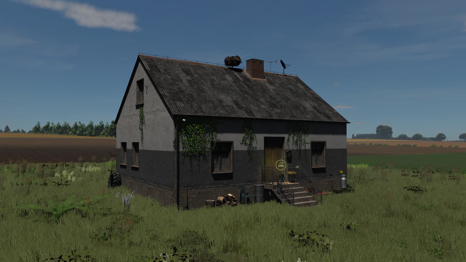 Polish House 4