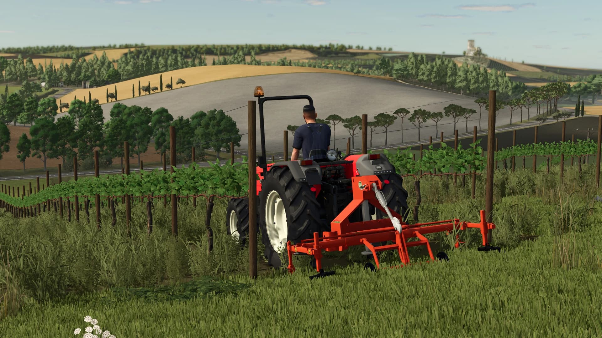 Rinieri Biodynamic 6