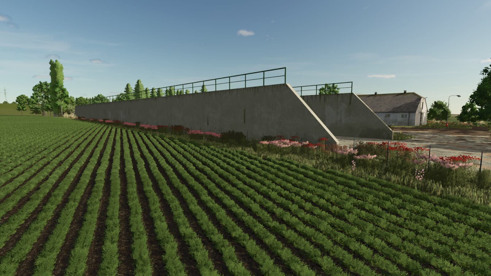 Silage Silos Big 3
