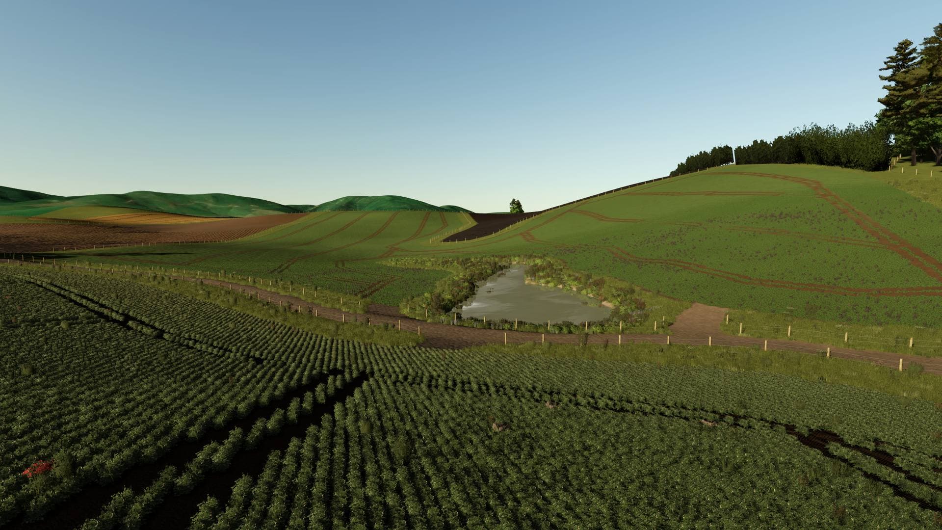 Tararua Pastures 6